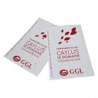 Goodiesfrancais cartedevisitegraine nat004 5