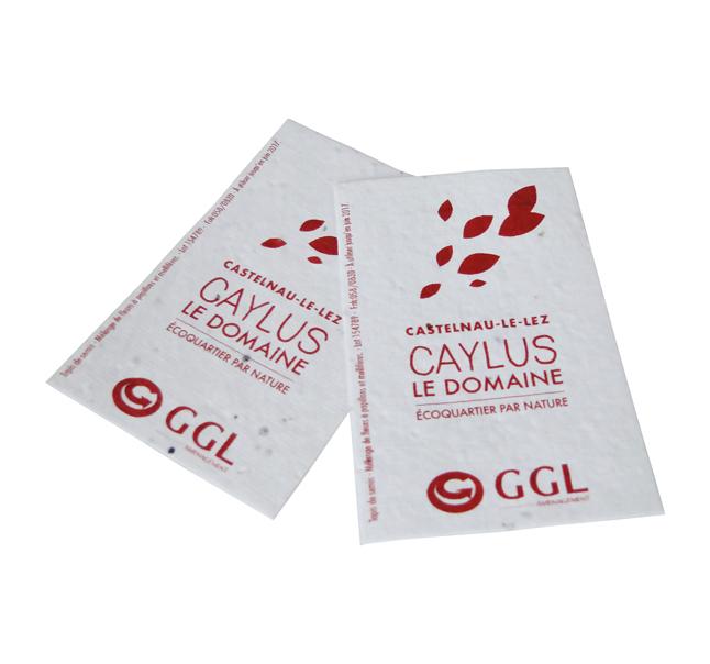 Goodiesfrancais cartedevisitegraine nat004 5