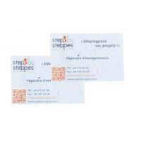 Goodiesfrancais cartedevisitegraine nat004 6